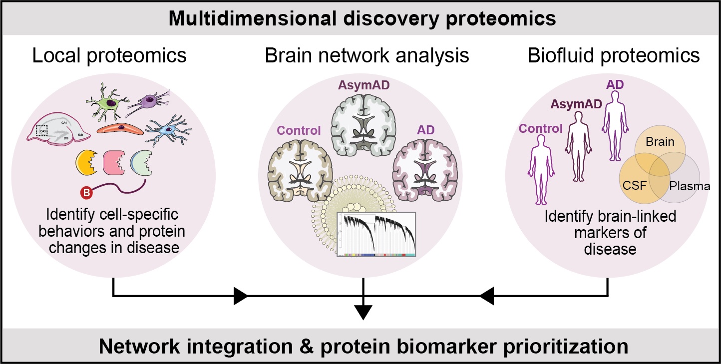 Multidimensional discovery proteomics image