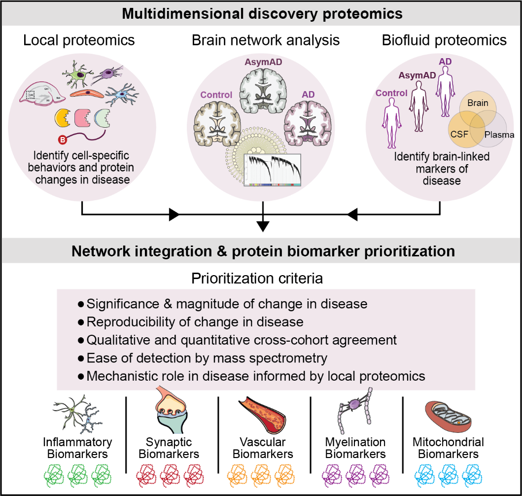 Multidimensional Discovery Proteomics